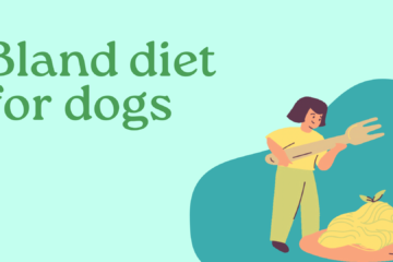 Bland diet for dogs