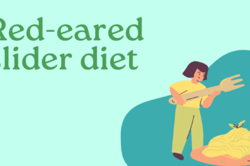 red-eared slider diet
