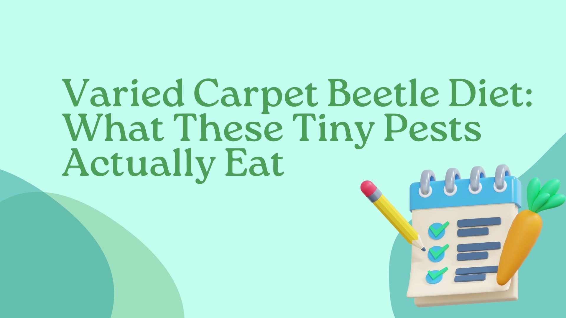 Varied Carpet Beetle Diet What These Tiny Pests Actually Eat