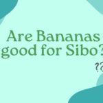 Are Bananas good for Sibo?