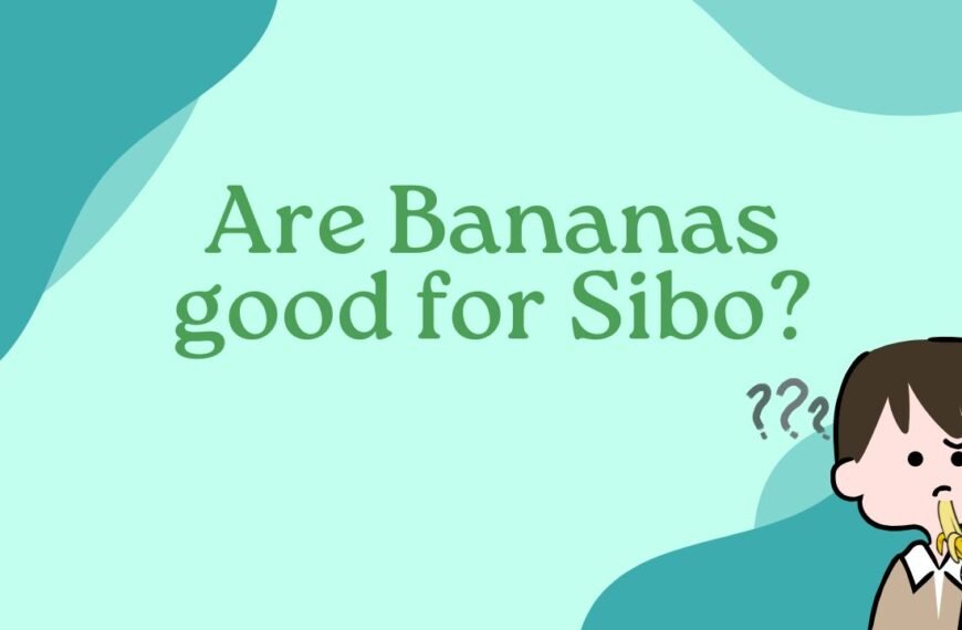 Are Bananas good for Sibo?