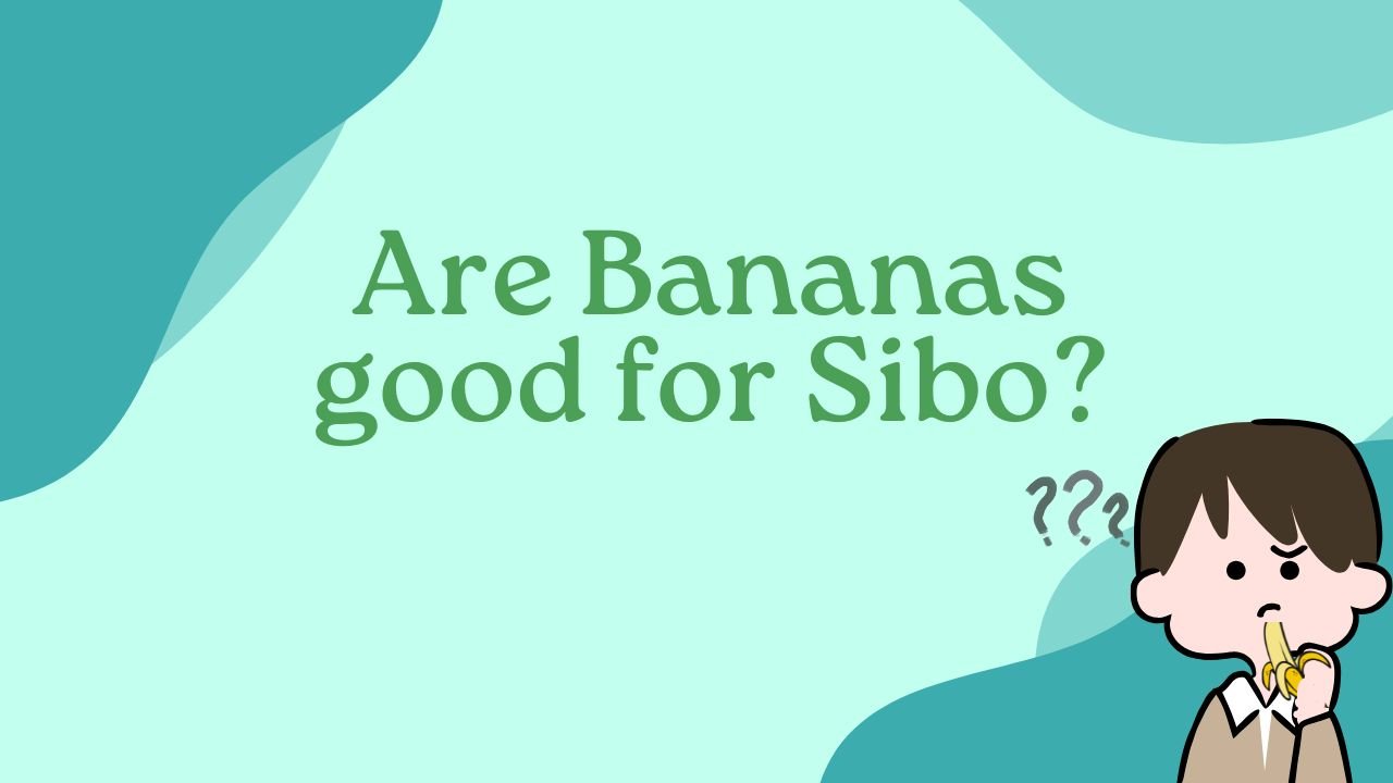 Are Bananas good for Sibo?
