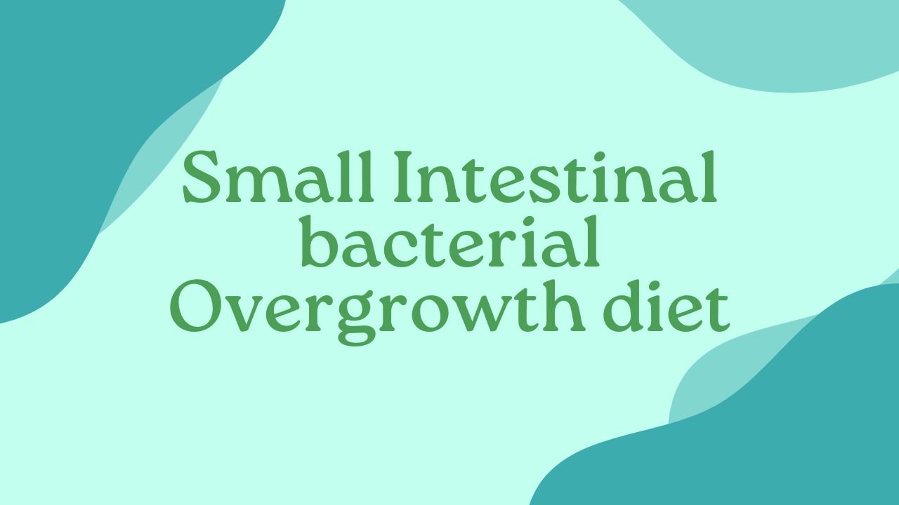 Small Intestinal bacterial Overgrowth diet